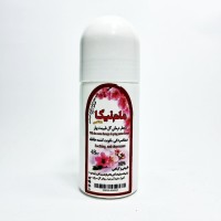 مام رولی گل همیشه بهار